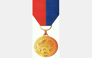Médailles départementales